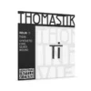 Thomasitik-TI03A-D-Silver-einzelsaite-violine